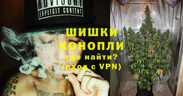 Альфа ПВП Бородино