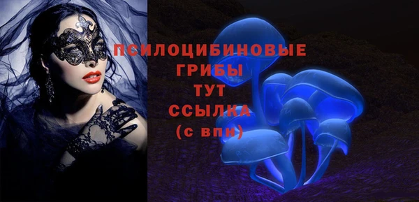 винт Бугульма