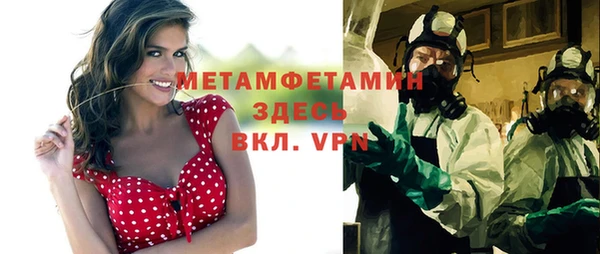 шишки Верея