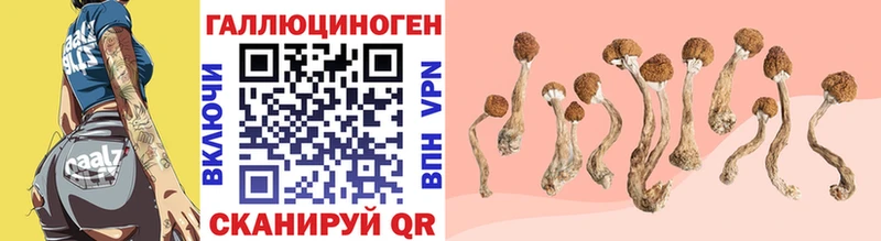 где продают наркотики  darknet как зайти  blacksprut зеркало  Галлюциногенные грибы Psilocybine cubensis  Медногорск 